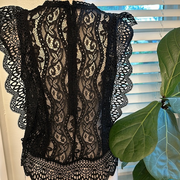 Zara Lace Top - Picture 5 of 6